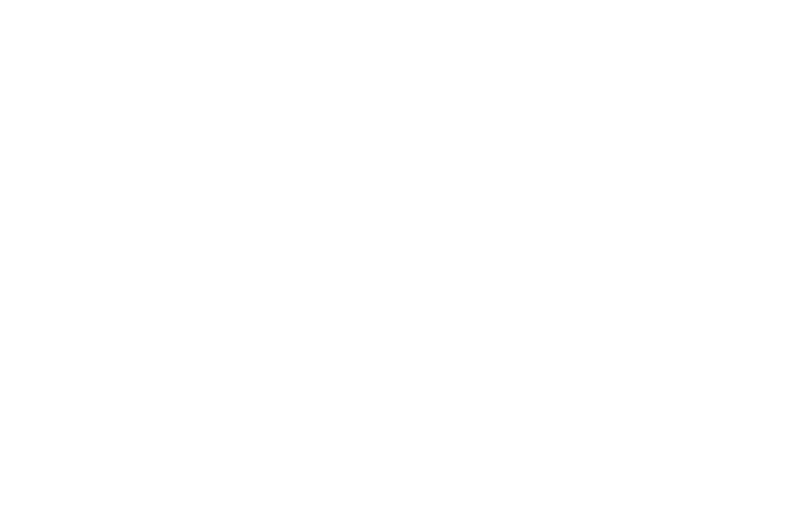 SOULHOUSE GROUP
